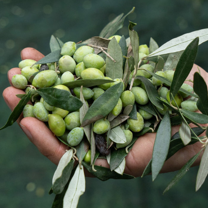 Honest Toil Cold Pressed Extra Virgin Olive Oil - 1L Illustrated Can (Fresh Nov 2025 Harvest)