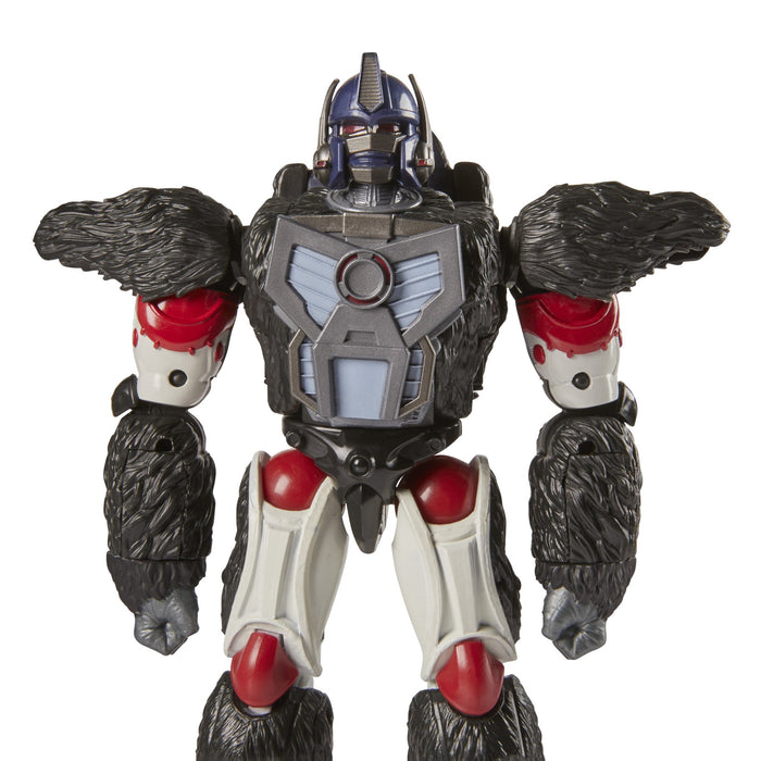 Transformers - R.E.D. [Robot Enhanced Design] - Transformers Beast Wars Optimus Primal Action Figure (F0742)