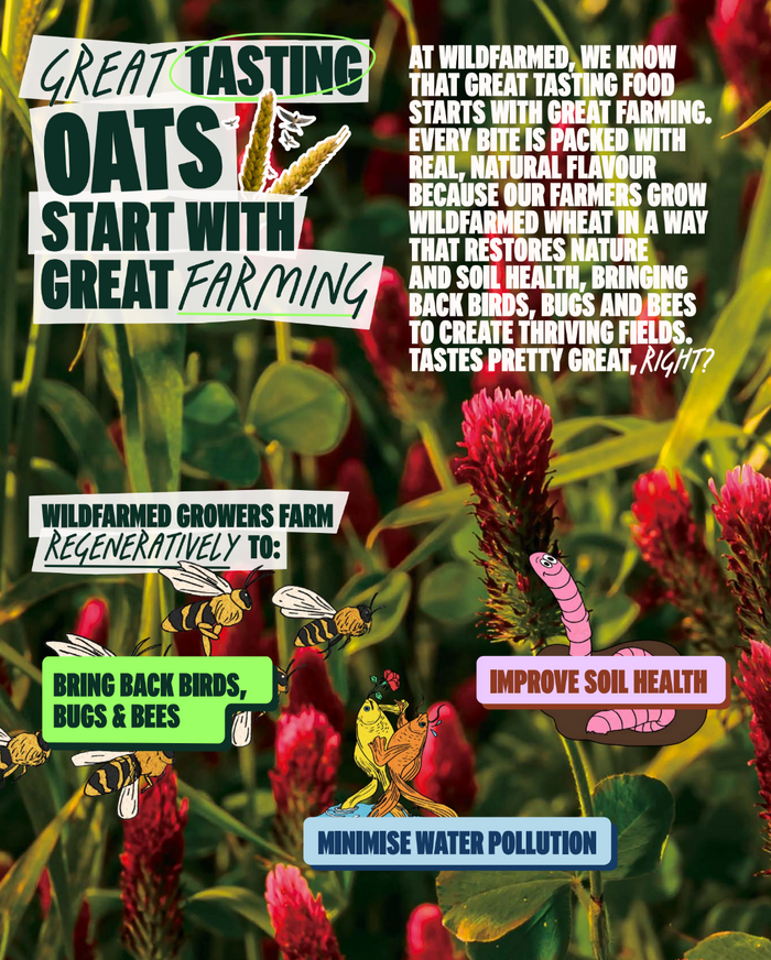 Wildfarmed Regenerative Medium Oats